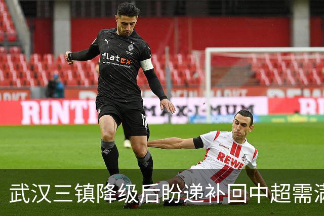 武汉三镇降级后盼递补回中超需满足三条件